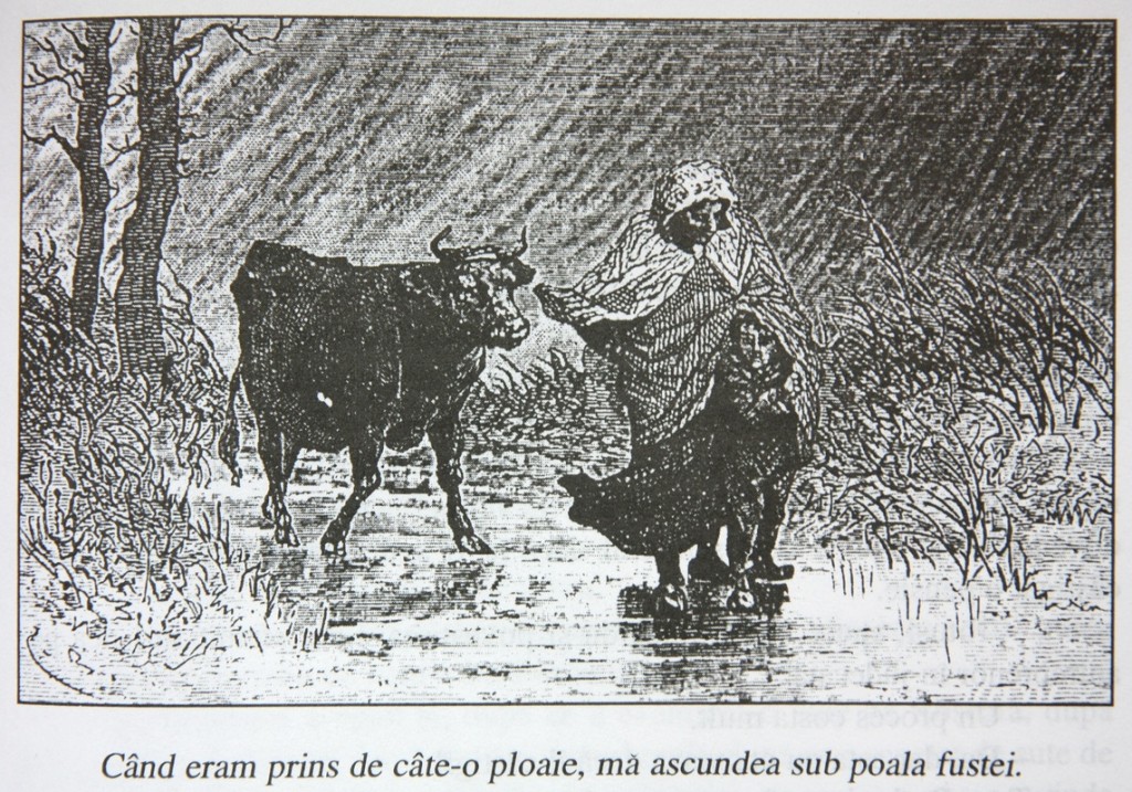 Ilustraţie la „Singur pe lume”. (foto @)