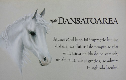 Dansatoarea.  Ilustraţie © Suzannah. (Clic ca s-o măriţi. Foto @)
