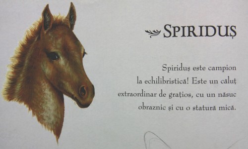 Clic ca sa mariti imaginea.