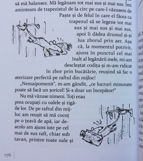 Vrajitoarele_1