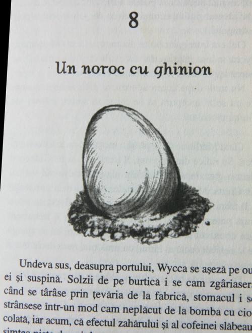 (Detaliu cu ilustraţie. Foto @)