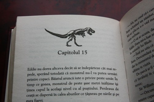 (Foto @)