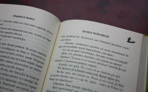 (Detaliu din carte. Foto @)