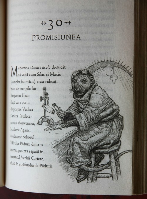 (ilustraţie... Foto @)